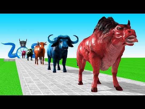 動物の牛の漫画、バッファロー、雄牛、ヤク、牛、バイソンの噴水を渡る動物変身ゲーム Animal transformation game with Cow Cartoon, Buffalo, Bull