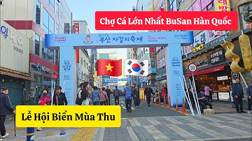 #391|| Lễ Hội Biển Mùa Thu Thu Tại Chợ Cá BuSan Hàn Quốc|cuộc sống hàn quốc|