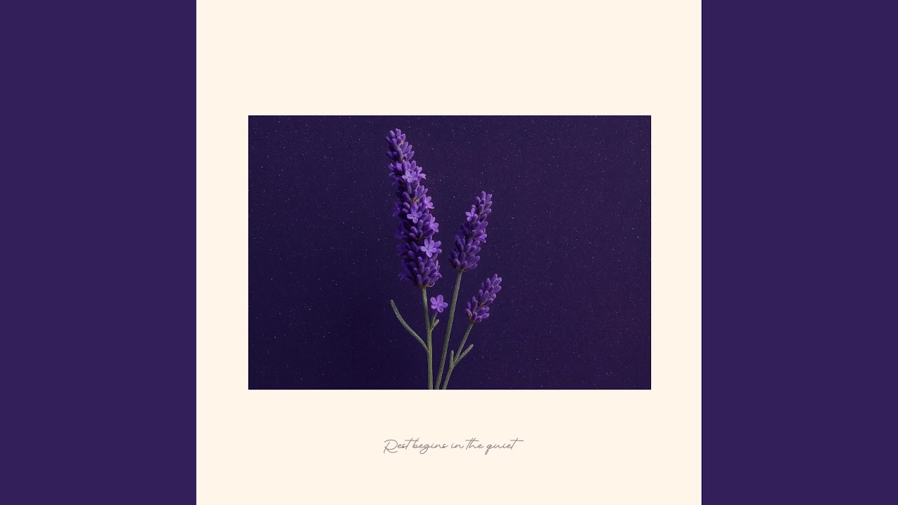 Lavender Drift and Deep Quiet