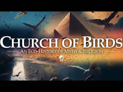 An Introduction to the Church of Birds: An Eco-History of Myth & Religion (Explained)