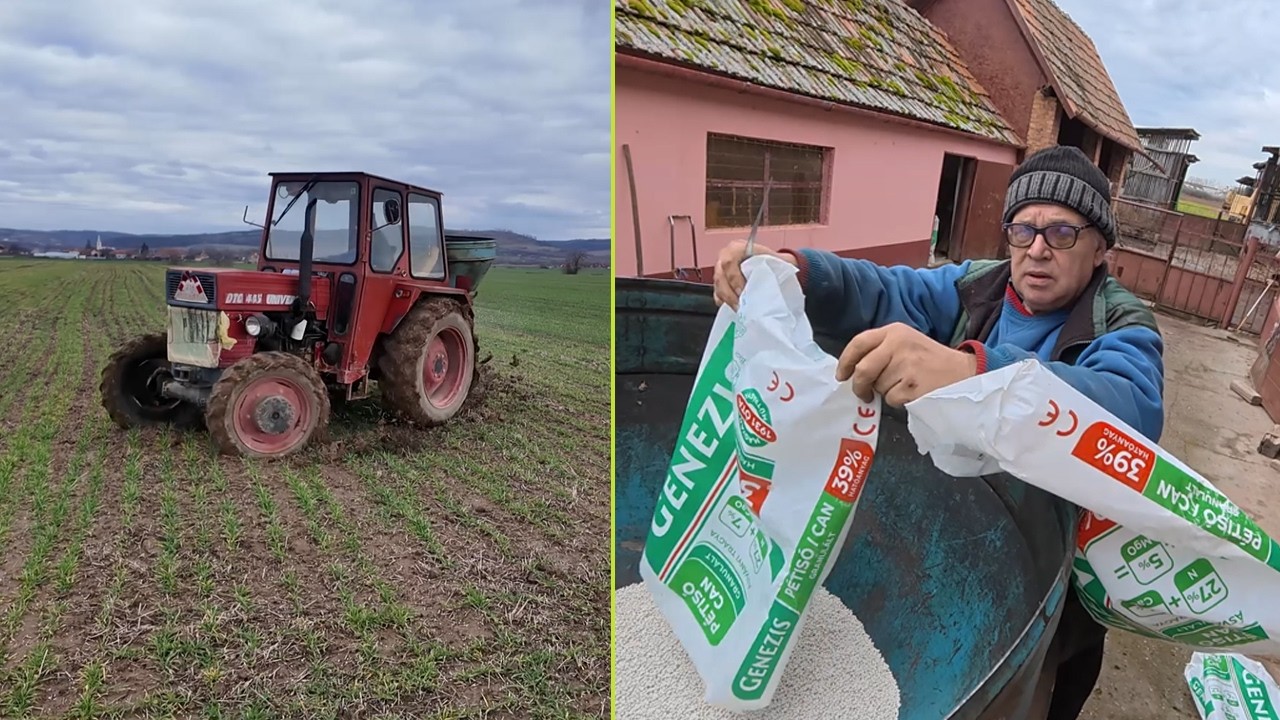 CSABI SEGÍTETT ATTILÁNAK MŰTRÁGYÁT SZÓRNI🌾🚜