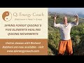 Sfqs 2023 master of qi  morning qigong practice with richard babboni