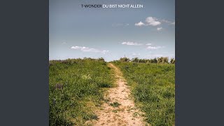 Du bist nicht allein - T-Wonder