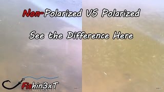 See Underwater with Polarized Glasses 