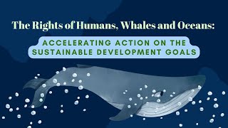 Ocean Education. Session 1: Accelerating Action on the Sustainable Development Goals