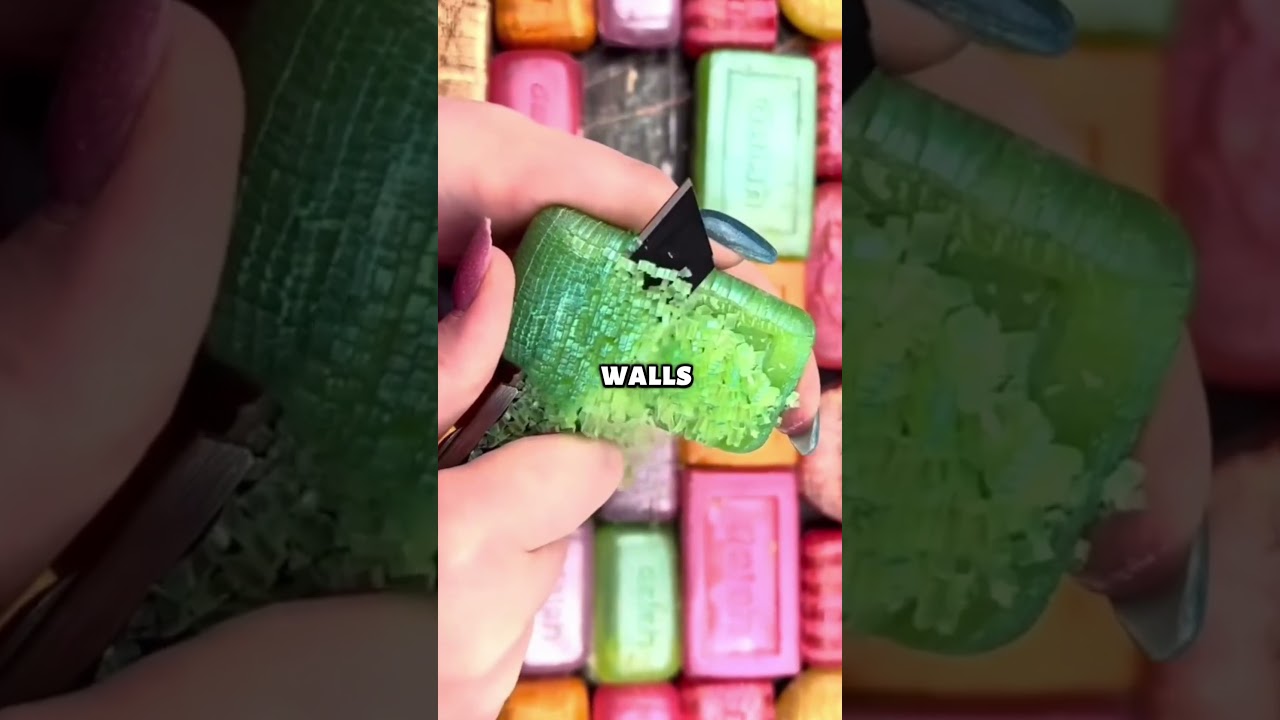 My Apartment Had a Fire Last Night… But Nothing Burned 