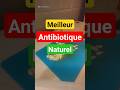 Meilleur Antibiotique Natuel #antibiotique #naturel #bio #virus #grippe #recette #maladie #immunité