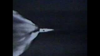 Launch of Apollo 8 (CBS)