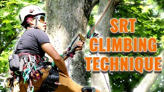 Tree Climbing Anchors: Turning your Basal into a Canopy!