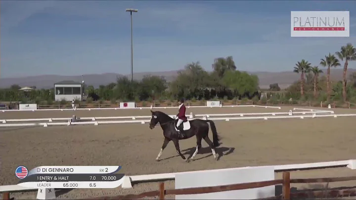 Dinnia DiGennaro & Wall Street Z - Open First Leve...