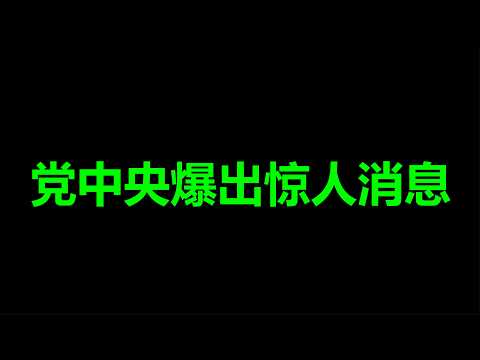 文睿：党，公开分裂了
