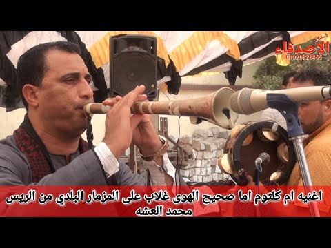 اغنيه ام كلثوم اما صحيح الهوى غلاب على المزمار البلدي من الريس محمد العشه