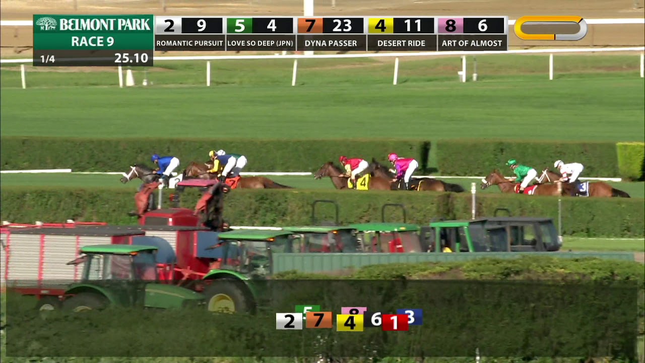 horse racing news Edisa - 2019 - The Jockey Club Oaks Invitational Stakes en Espanol