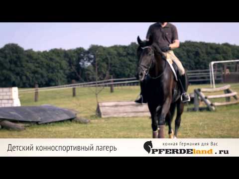 Конноспортивный лагерь Мюнстерланд и Мюнстерланд Интенсив