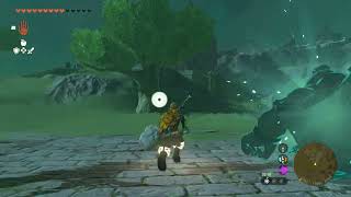 I am trapped under water behind stone gate Great Plateau Temple of Time Zelda Tears of the Kingdom
