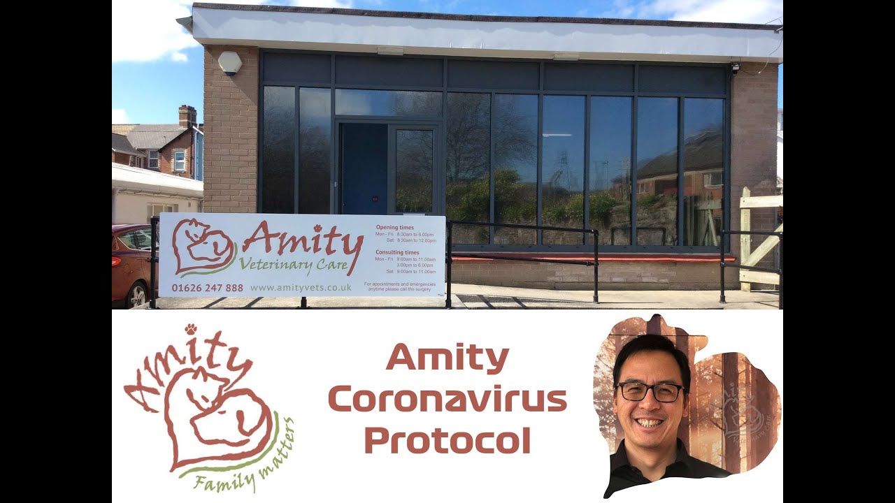 Amity Coronavirus Protocol