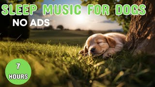 [NO ADS] Relaxing Dog Sleep Music💤 Watch Your Dog Fall Asleep In Minutes! by Dog Music Dreams 2,555 views 3 months ago 7 hours, 14 minutes