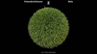 Prismode & Solvane – Mole (Julian Wassermann Remix) [RITTER BUTZKE]