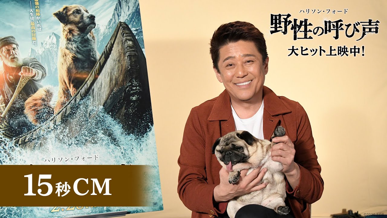 映画『野性の呼び声』TVCM15秒【坂上忍さん出演】編 大ヒット上映中