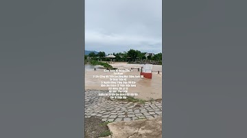 Hoa Cúc Giống Khánh Hòa A NHÀN Đại Đóa Pha Lê Mô Nhân Trồng Chậu Top 1 Nam Trung Bộ Khách Cần Là Có