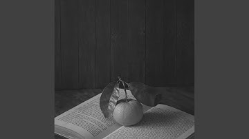 Modish Backdrops for Morning Reading