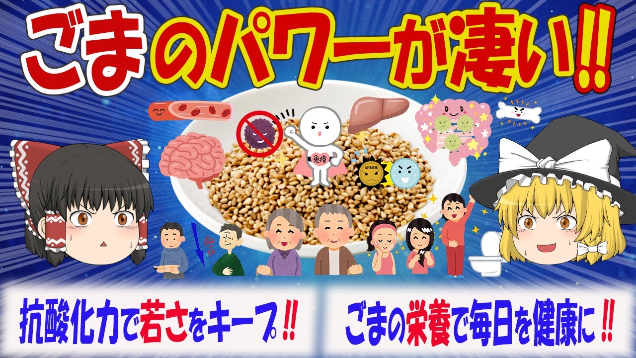 ごまの凄い力で毎日をエネルギッシュに‼ごまの抗酸化力でアンチエイジング‼ごまの健康効果と注意点などを解説【ゆっくり解説】