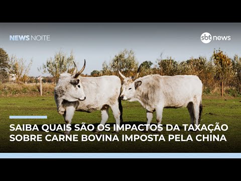 Video china-impoe-cota-a-carne-bovina-e-desafia-diplomacia-brasileira-em-2026-news-noite