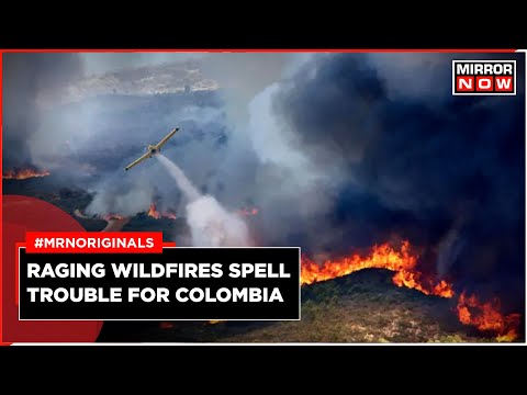 Colombia Wildfire | Wildfires Burn Across Colombia | World News | English News
