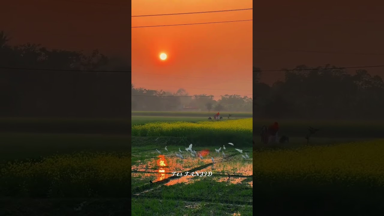 Village Natural view 