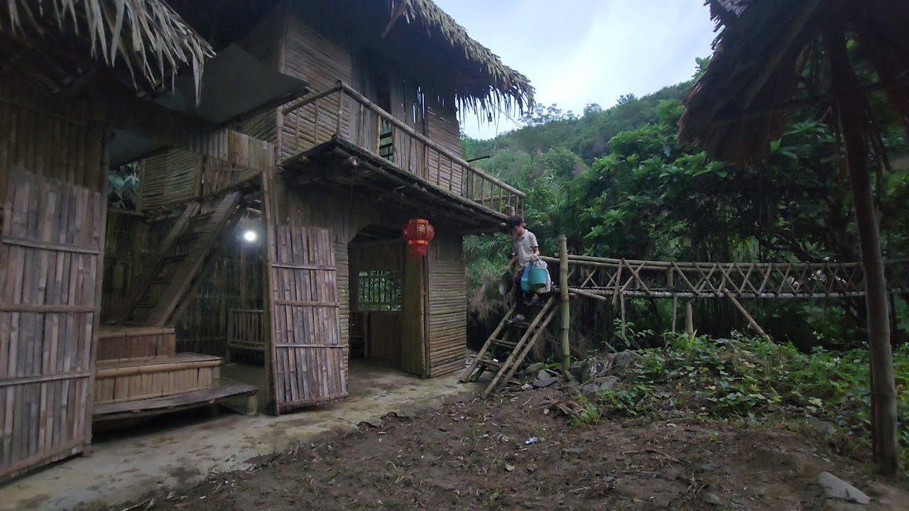 Move to the abandoned house and enjoy fried taro an impressive night with the lights