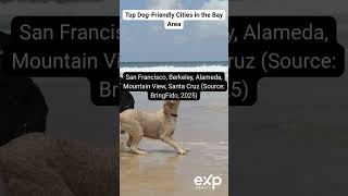 Top Dog Friendly cities in the Bay Area