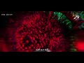 اجمل صرخه من سلام الحسيني خوات ثلاثه صعدن ناكه وحده 