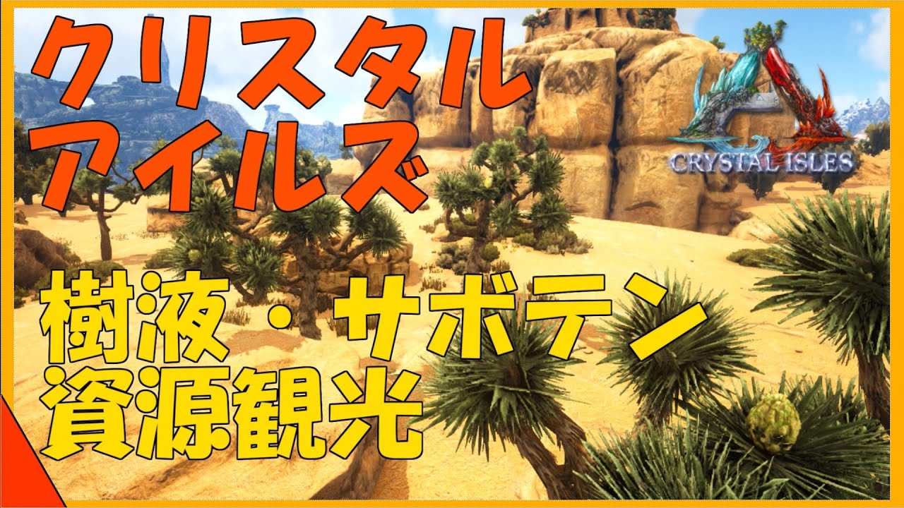 Ark サボテン Ark サボテンスープ コマンド