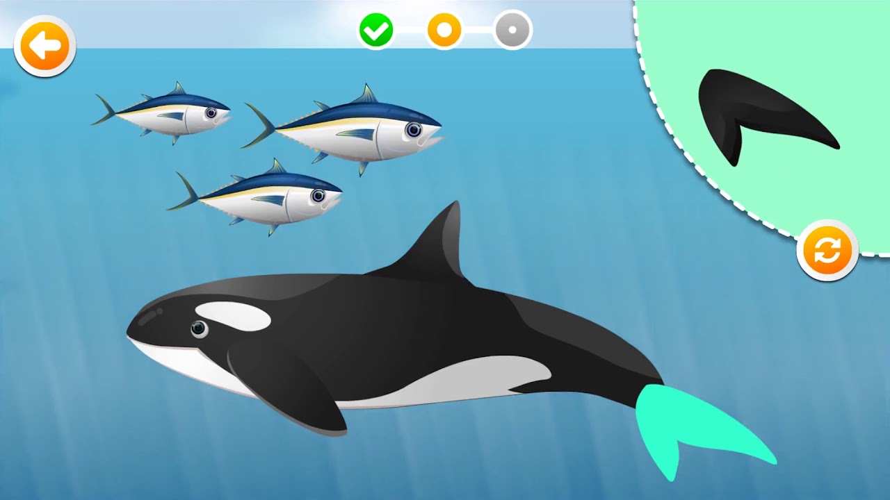 Puzzle Android Game for Kids Popo Sea Animal Gameplay YouTube