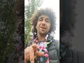 Приёмная Президента