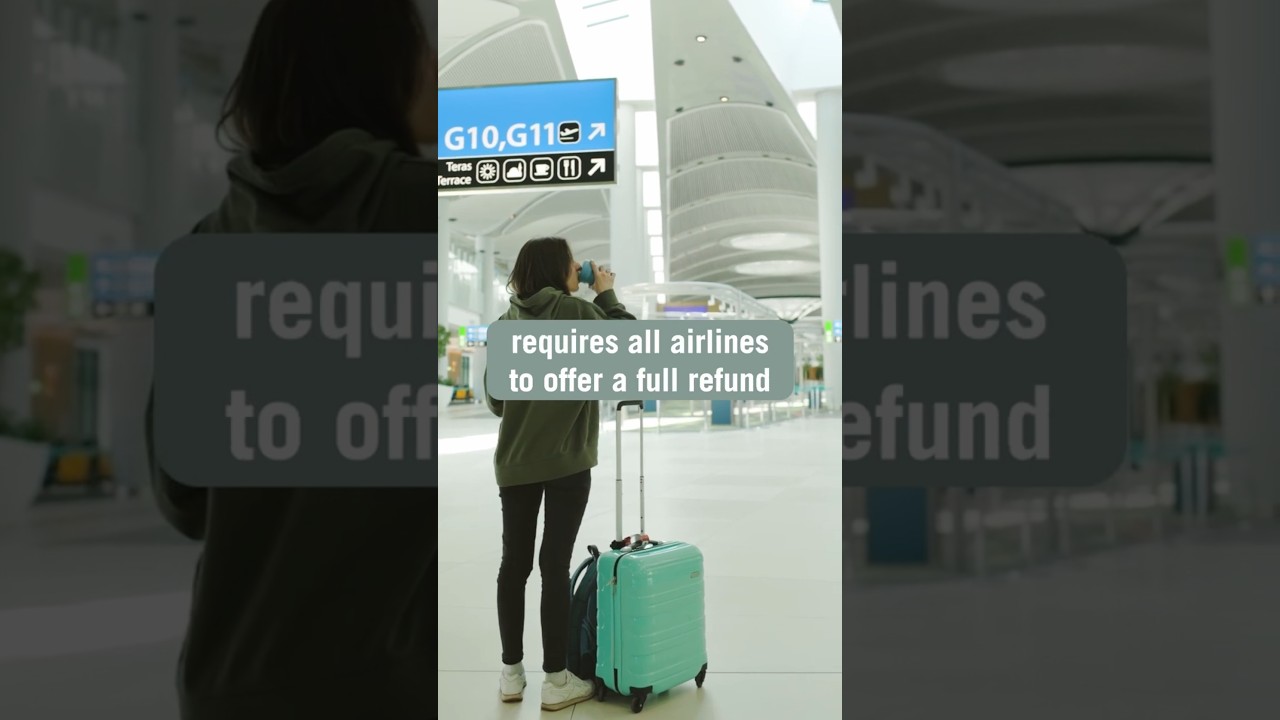✈️❔ Canceling a flight within 24 hours of booking? #travel