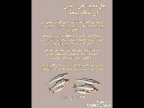 تعرف اخي اختي على سمك الرنجة