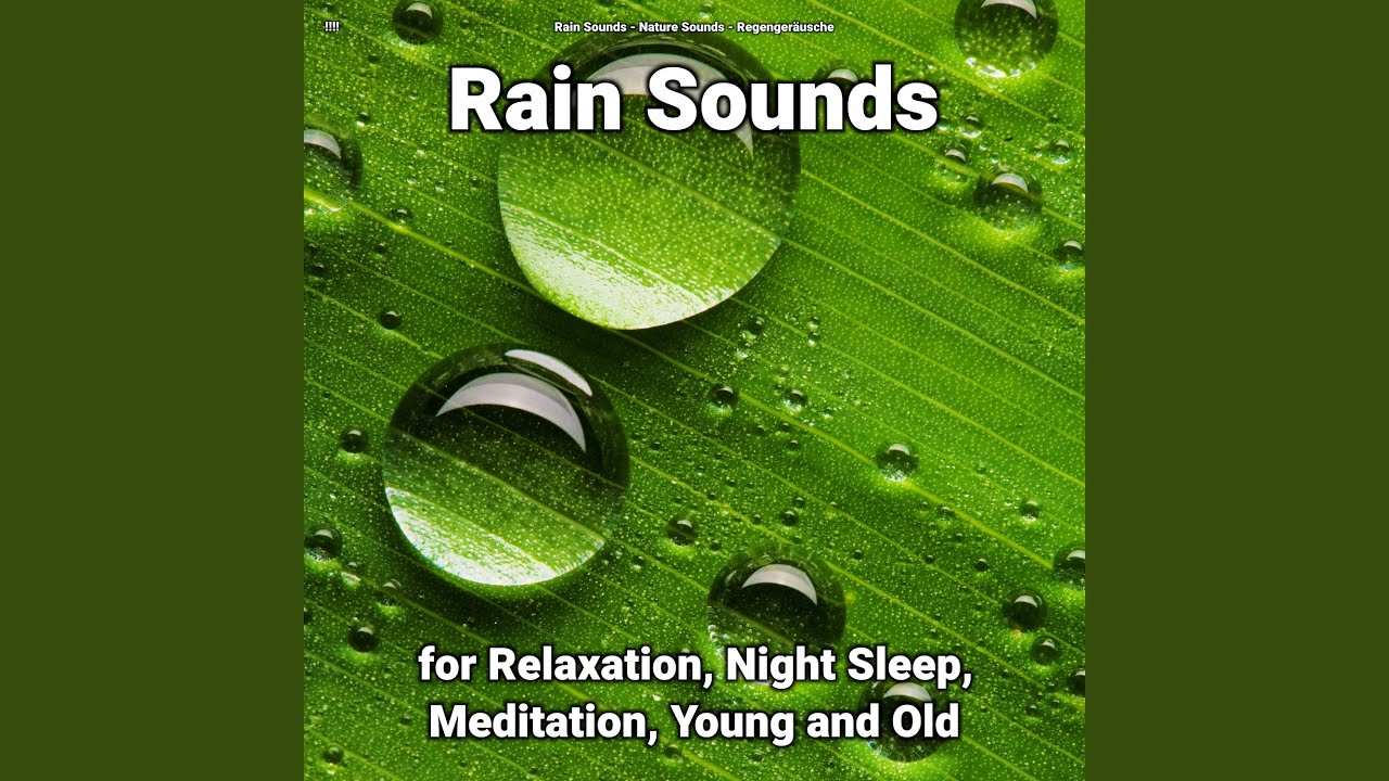 Comforting Rain Sound Effects