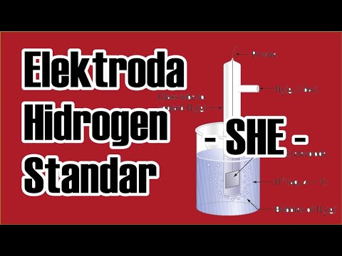 CARA KERJA ELEKTRODA HIDROGEN STANDAR (STANDARD HYDROGEN ELECTRODE)
