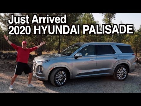 just-arrived:-2020-hyundai-palisade-on-everyman-driver