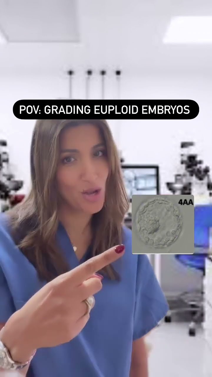 Embryo Grade Guide From 4AB To Baby YouTube Embryo Grade Guide From 4AB To Baby YouTube