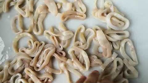 Squid slicer Squid Ring Cutting Machine