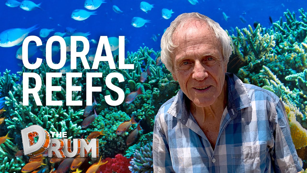 3 Things I Know About Coral Charlie Veron The Drum Youtube 3 Things I Know About Coral Charlie Veron The Drum Youtube