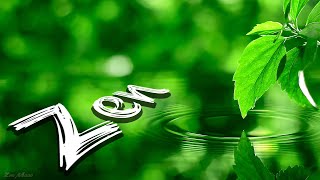 Soothing Relaxing Piano Music ☘ Water Ripple Effect & Green Leaf, Sleeping Music, Meditation Music