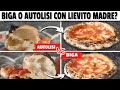 🍕 PIZZA NAPOLETANA CON LA BIGA VS LIEVITO MADRE CON AUTOLISI