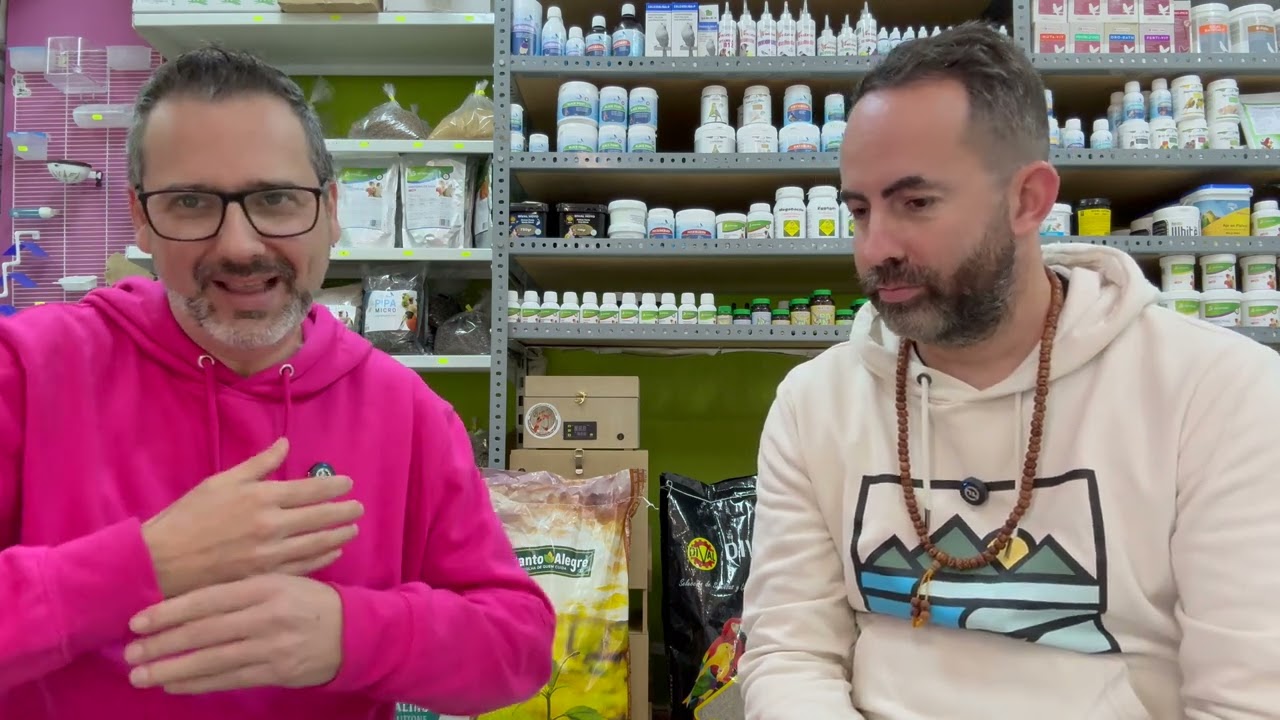 Requisitos para participar en el mundial Ornitologico