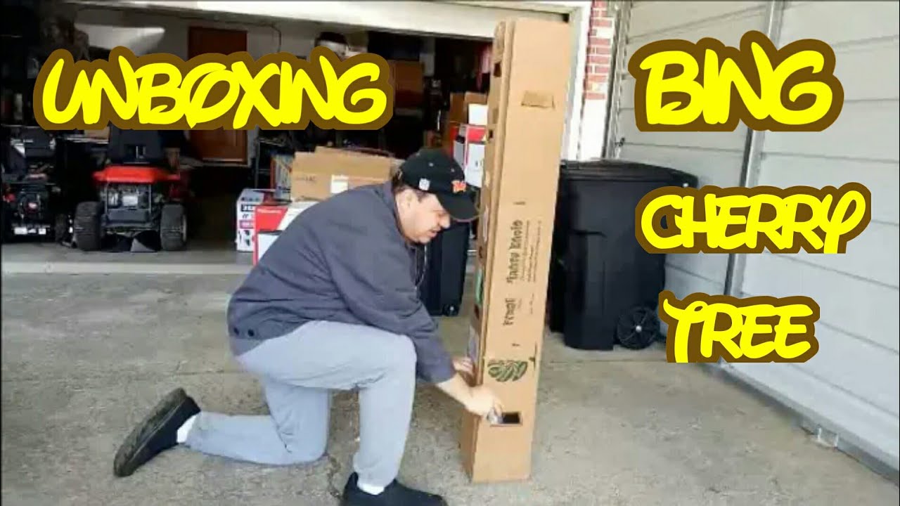 Unboxing Bing Cherry Tree Ty Ty Nursery