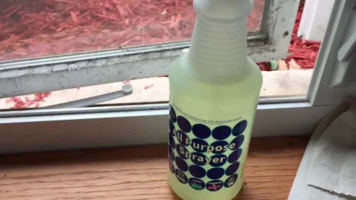 How To Remove Black Mold From Window Sills - Bleach And Kill Mold