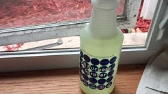 How To Remove Black Mold From Window Sills - Bleach And Kill Mold