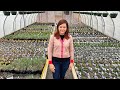 Perennial Nursery Tour // Gardening with Creekside